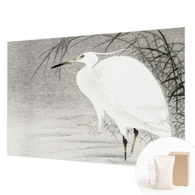 Fototapet pe perete Safari lunar