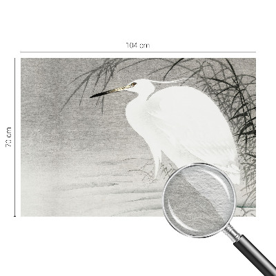 Fototapet pe perete Safari lunar