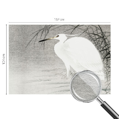 Fototapet pe perete Safari lunar