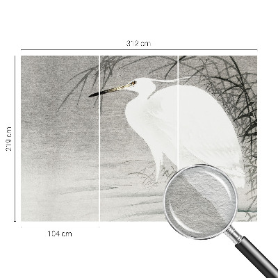 Fototapet pe perete Safari lunar