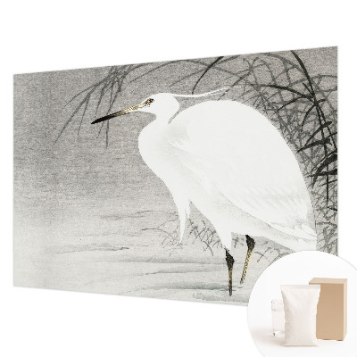 Fototapet pe perete Safari lunar