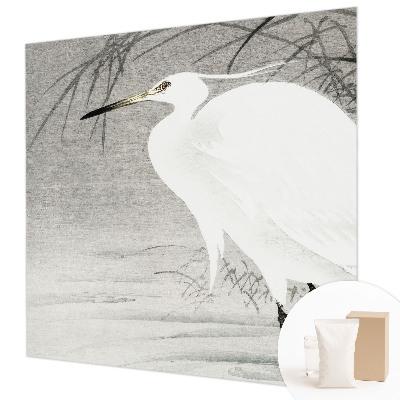 Fototapet pe perete Safari lunar