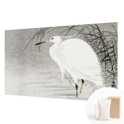 Fototapet pe perete Safari lunar