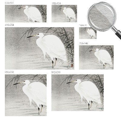 Fototapet pe perete Safari lunar