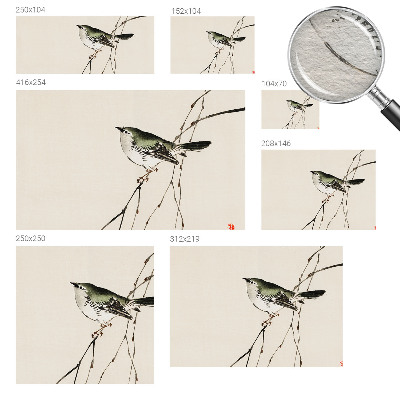 Fototapet vlies pentru dormitor Flori sălbatice