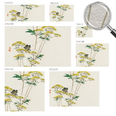 Fototapet modern Păsări exotice