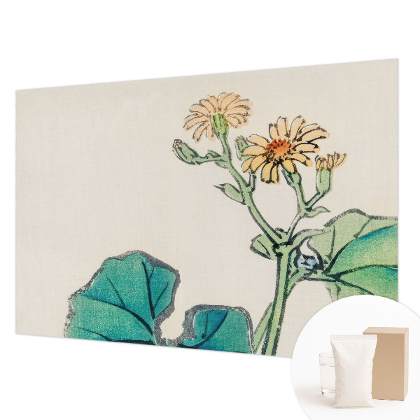 Fototapet la comandă Fluturi în pajiște