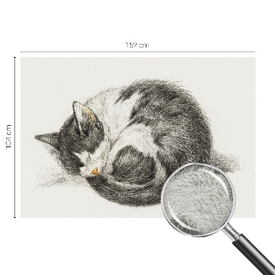 Fototapet modern la comandă Vestul suprarealismului