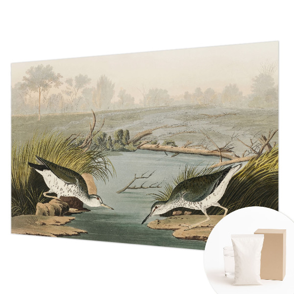 Fototapet modern Ilustrație botanică