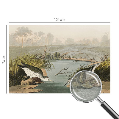 Fototapet modern Ilustrație botanică