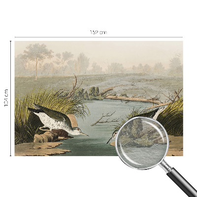 Fototapet modern Ilustrație botanică