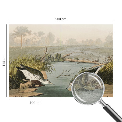 Fototapet modern Ilustrație botanică