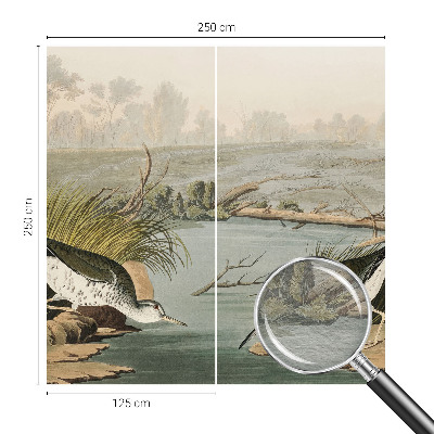 Fototapet modern Ilustrație botanică