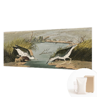 Fototapet modern Ilustrație botanică