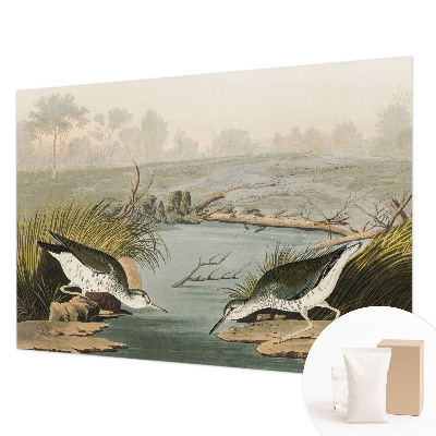 Fototapet modern Ilustrație botanică