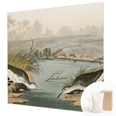 Fototapet modern Ilustrație botanică