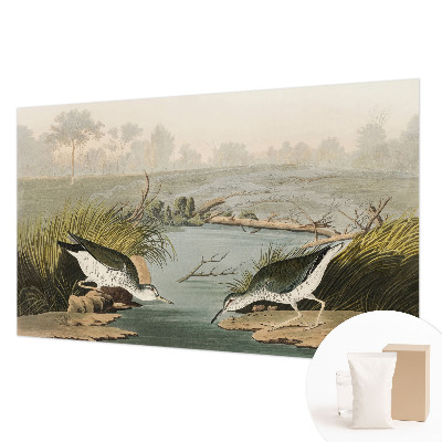 Fototapet modern Ilustrație botanică