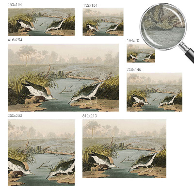 Fototapet modern Ilustrație botanică