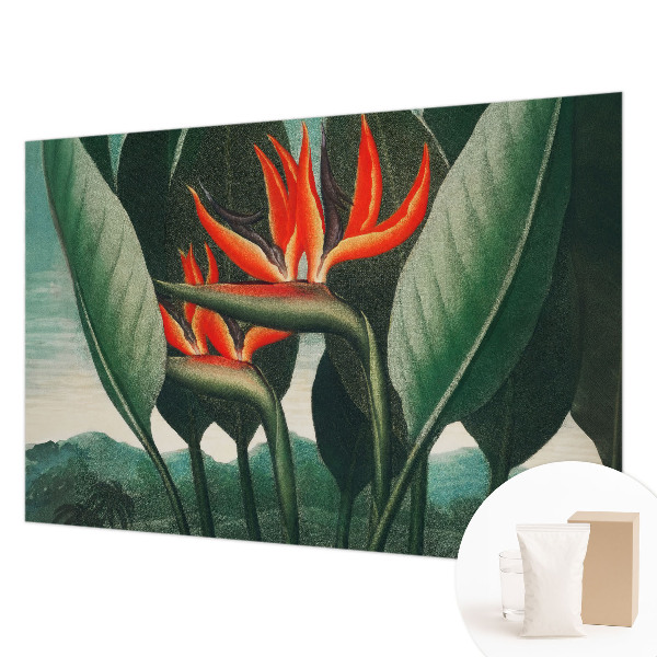 Fototapet Peisaj nostalgic