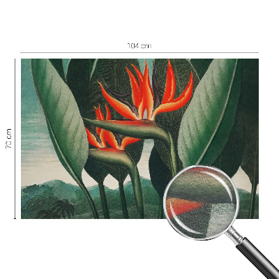 Fototapet Peisaj nostalgic