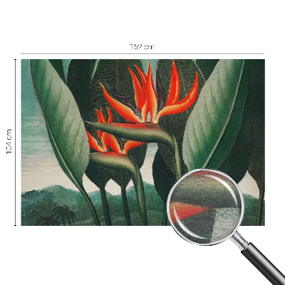 Fototapet Peisaj nostalgic