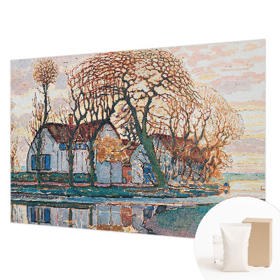 Fototapet vlies imprimat Linii organice