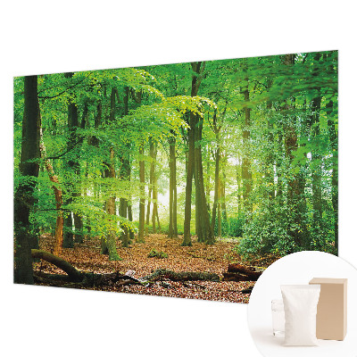 Fototapet la comandă Mișcare colorată