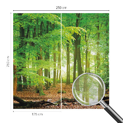 Fototapet la comandă Mișcare colorată