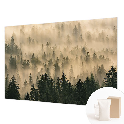 Fototapet Ochi simetric