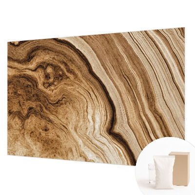 Fototapet modern pentru living cu motiv cu flori de protea