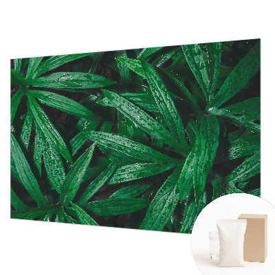 Fototapet pe perete Modele abstracte