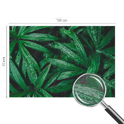 Fototapet pe perete Modele abstracte