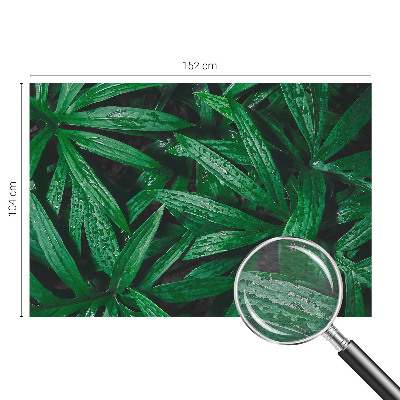 Fototapet pe perete Modele abstracte