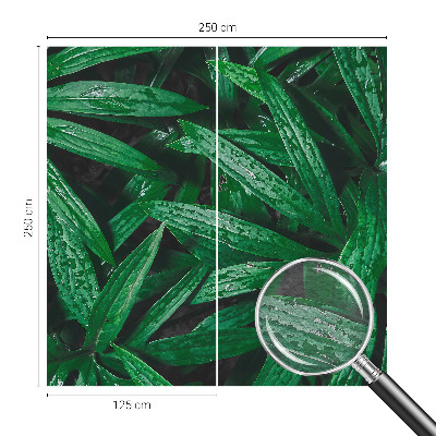 Fototapet pe perete Modele abstracte