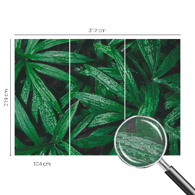 Fototapet pe perete Modele abstracte