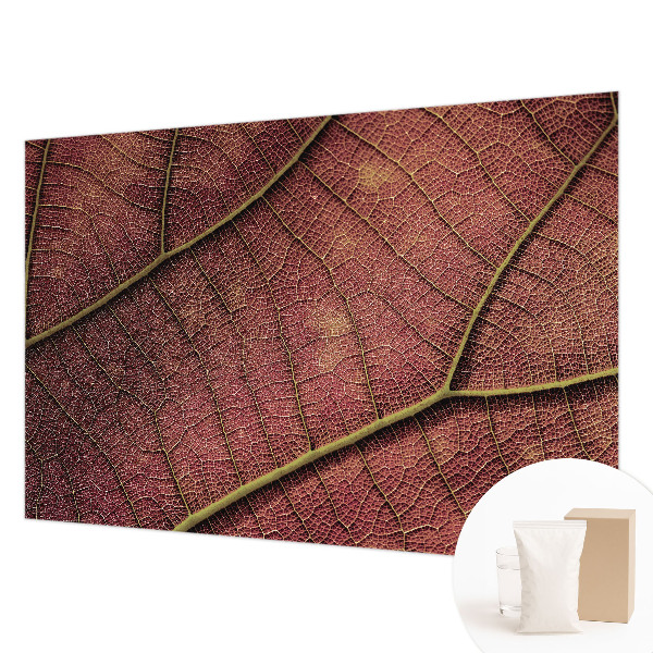 Fototapet la comandă Coasta urbană