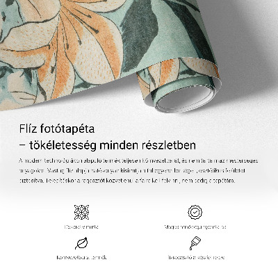 Fototapet vlies pentru copii Arcuri curcubeu