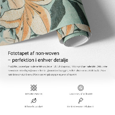 Fototapet vlies pentru copii Arcuri curcubeu