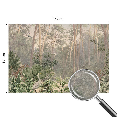 Fototapet vlies Cercuri colorate