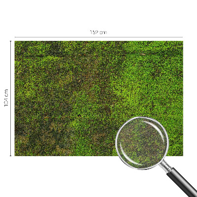 Fototapet vlies pe perete Panorama orașului