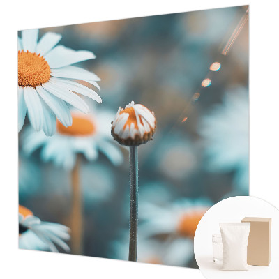 Fototapet la comandă Valurile mării