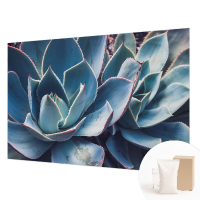 Tapet foto Vârtejuri colorate