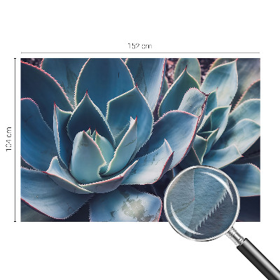 Tapet foto Vârtejuri colorate