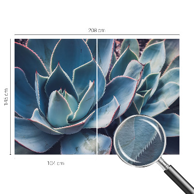 Tapet foto Vârtejuri colorate