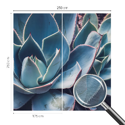 Tapet foto Vârtejuri colorate