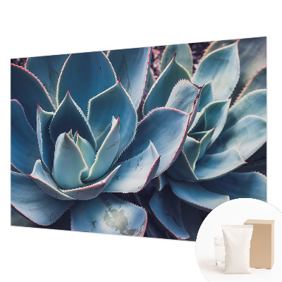 Tapet foto Vârtejuri colorate