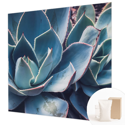 Tapet foto Vârtejuri colorate