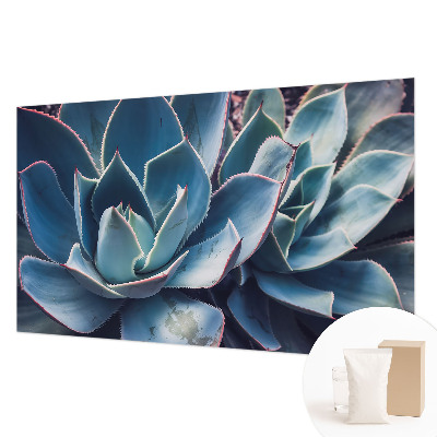 Tapet foto Vârtejuri colorate