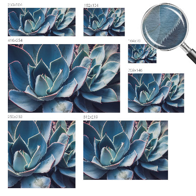 Tapet foto Vârtejuri colorate