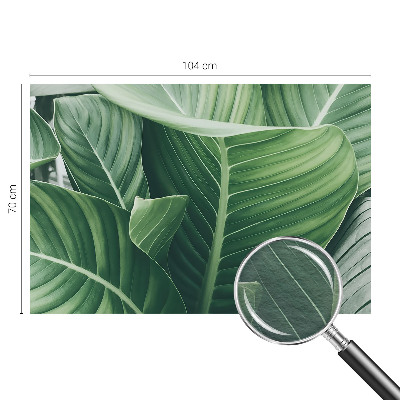 Fototapet vlies pentru living Florile simțurilor